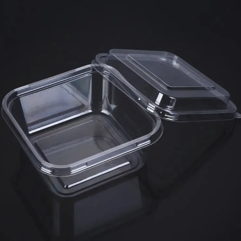 Clear Pet Plastic Dessert Container Dome Lid Bakery Cake Puffs Pastry Box
