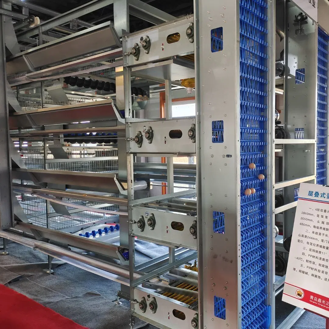 Prefab Steel Structure Chicken House with Equipment for Sale