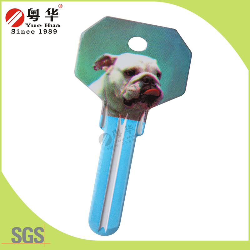 Mini 3D Animal Painted Color Remote Key Blanks for Locksmith