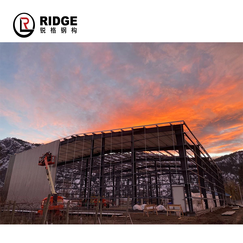 Free Design Prefabricated Plant Workshop with Office House Steel Structure