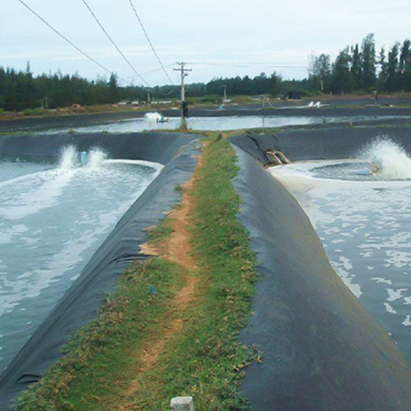 Fish Shrimp Farm Pond Liner / Swimming Pool Liner 0.8mm