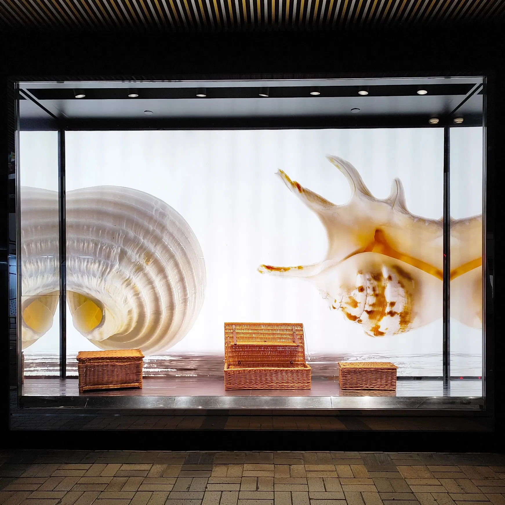 Professional Manufacturing Summer Window Display Props Large Conch Props Shop Decoration