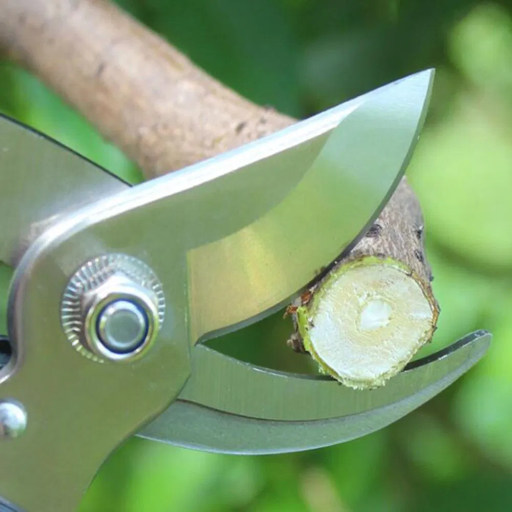 Sharp Bypass Pruning Shears Garden Scissors Clippers Trimmers Esg12074