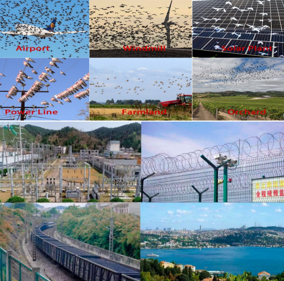 Outdoor IP65 Laser Bird Repeller Remote Control Lights with Googles for Power Station