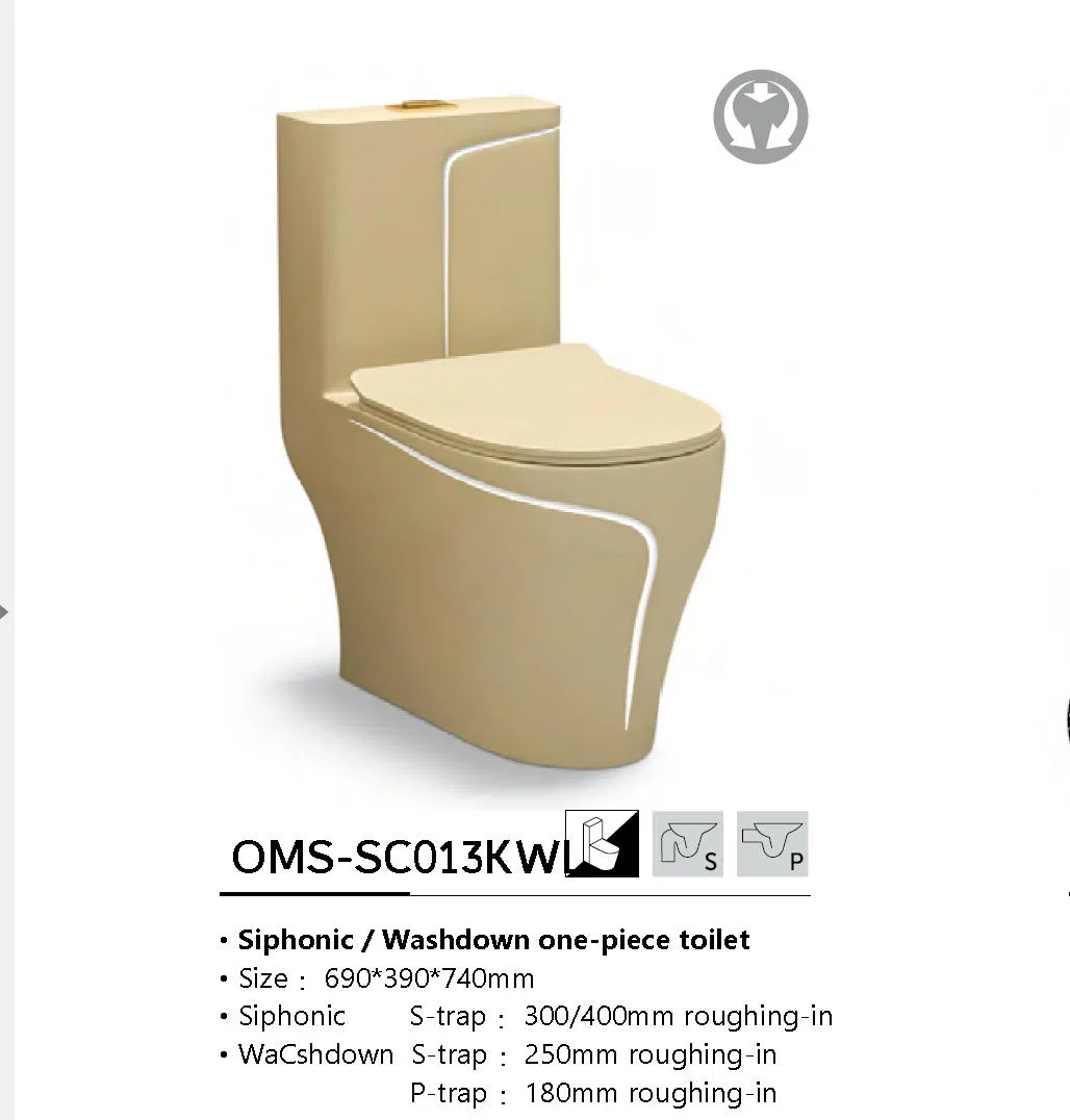 Water-Saving Eco-Friendly One Piece Toilet with Modern Design