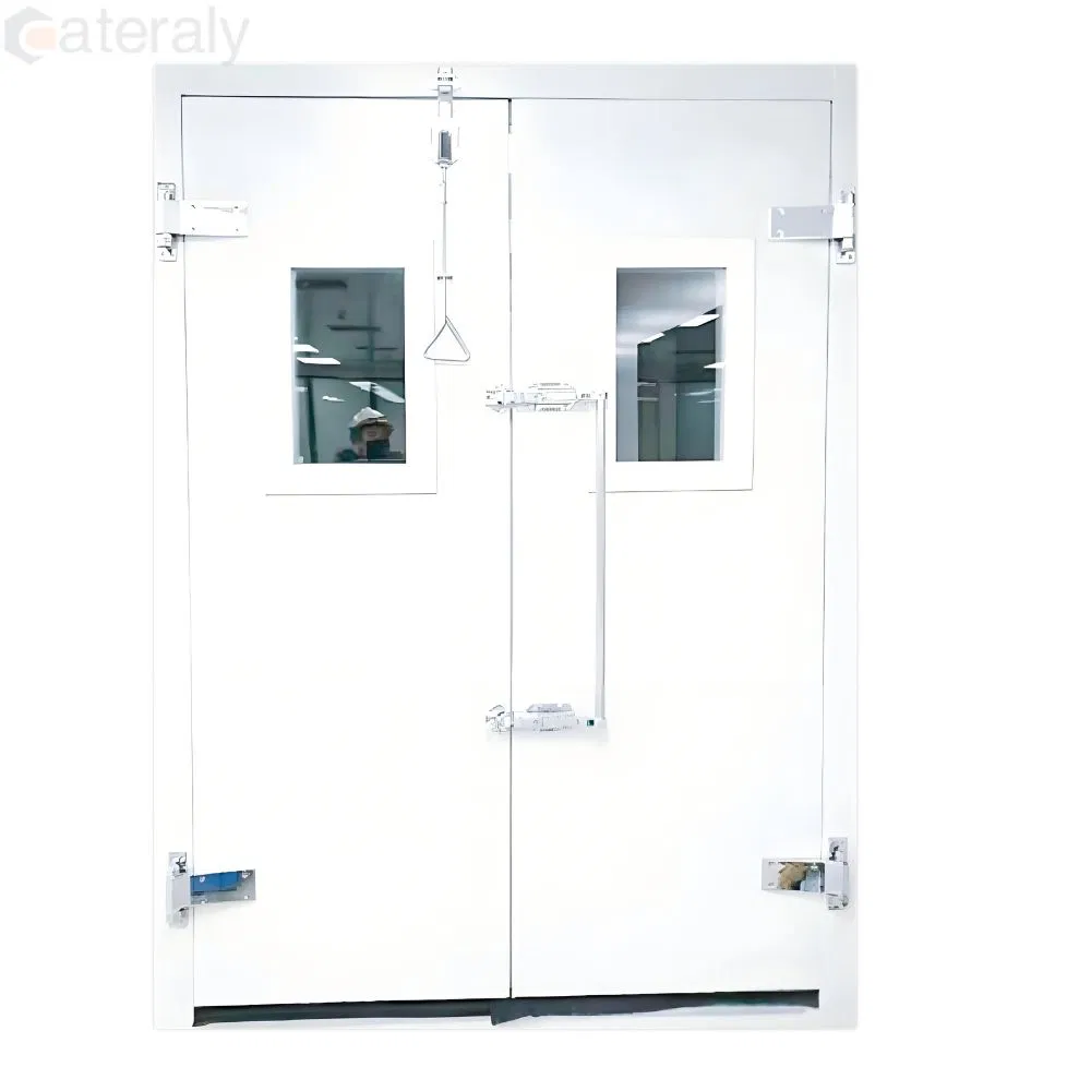 Weather-Resistant Cold Room Door with Customizable Features Available