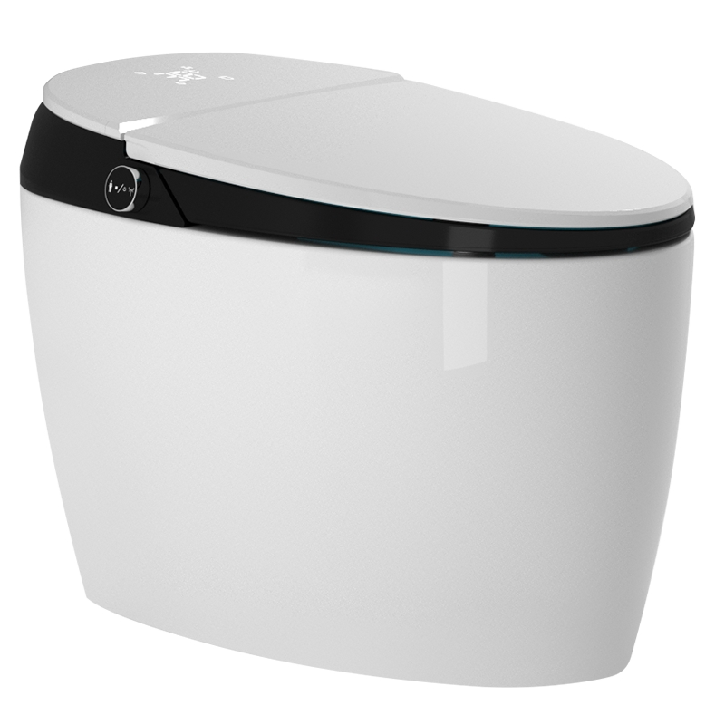 Simple and Popular Fashionable Intelligent Toilet