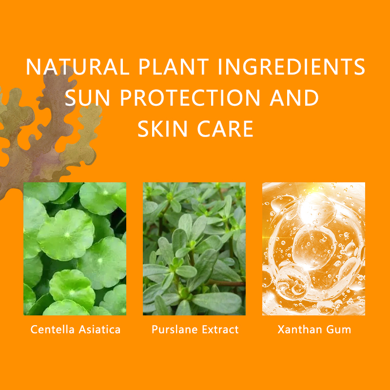 High Quality Wholesale Brightening Face Care Sunscreen Lotion Purslane Physical Sunscreen Cream SPF70+++ 60ml
