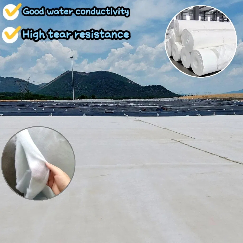 PP/Pet 100/200/300/400/500/600/700/800g Geotextile for Road, Rail, Tunnel, Airport Road Construction, Geotechnical Cloth