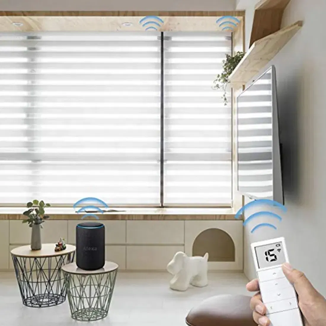 House Blackout Smart Electronic Motorized Shades Zebra Roller Blinds with APP Control