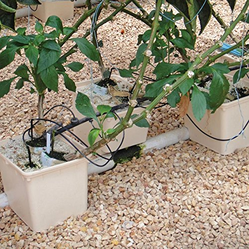 Drip Irrigation Auto Watering Agriculture Greenhouse Hydroponics Growing Dutch Buckets System