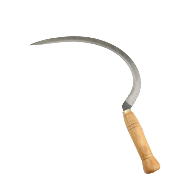 Sickle Tooth Arachnoid Vessel Jacobson Tip Trees Folding Agricultural Sickle