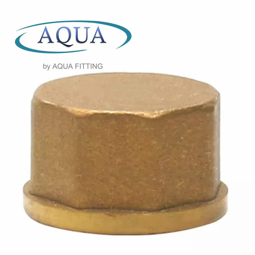 Brass End Cap Female Thread Compression with Water