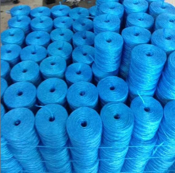 Cheap and High Tenacity Agriculture Plastic Packing Rope (SGS)