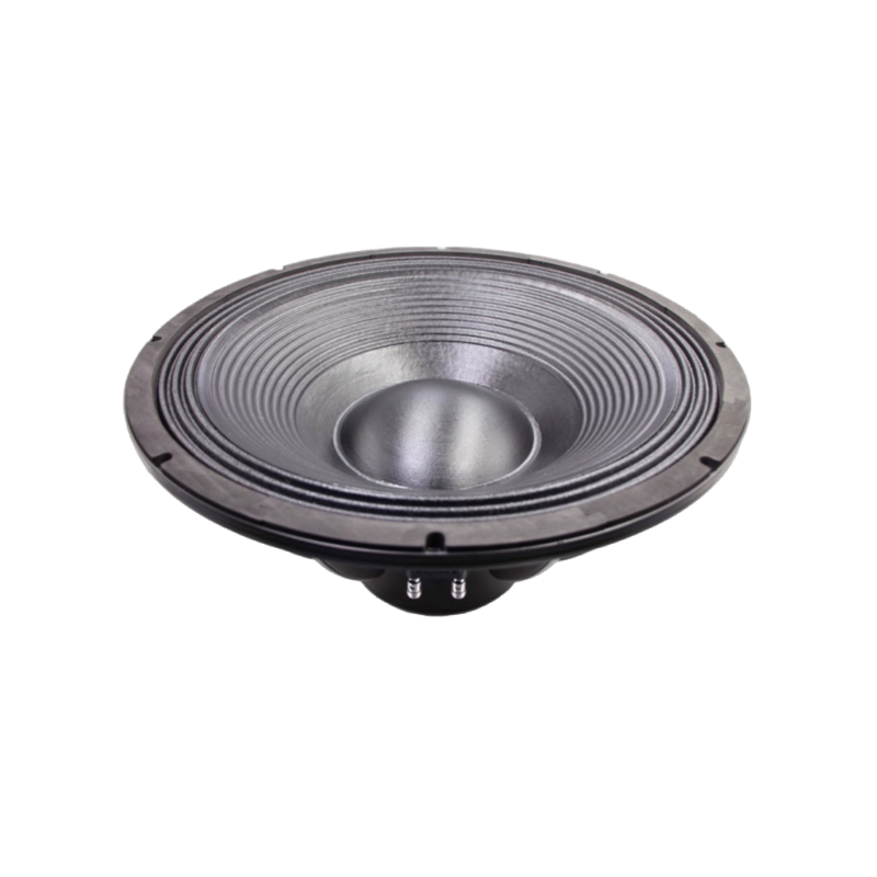 21-Inch Neodymium Subwoofer 3000 Watts PRO Audio