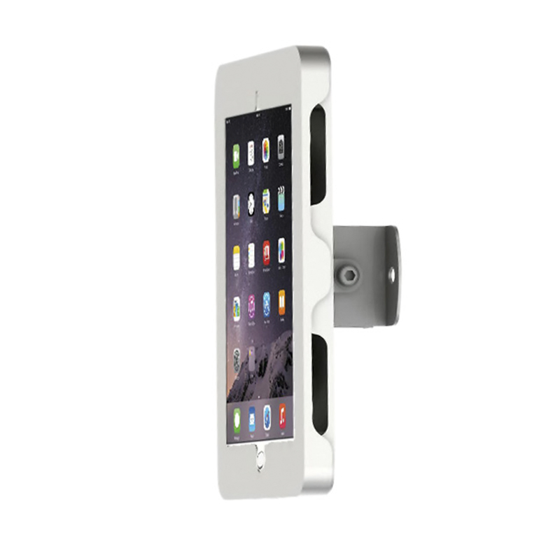 iPad Wall Mount (PAD 2010)