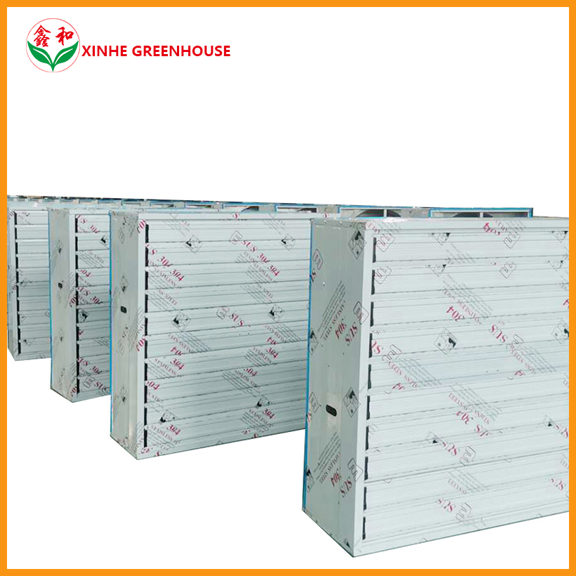 Push-Pull Stainless Steel Exhaust Fan Used in Glass/Plastic/Film/PC Sheet Greenhouse for Cooling System