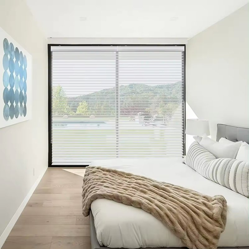 Smart Light Filtering Polyester 3-Layer Shangri-La Blind Triple Shade for Living Room