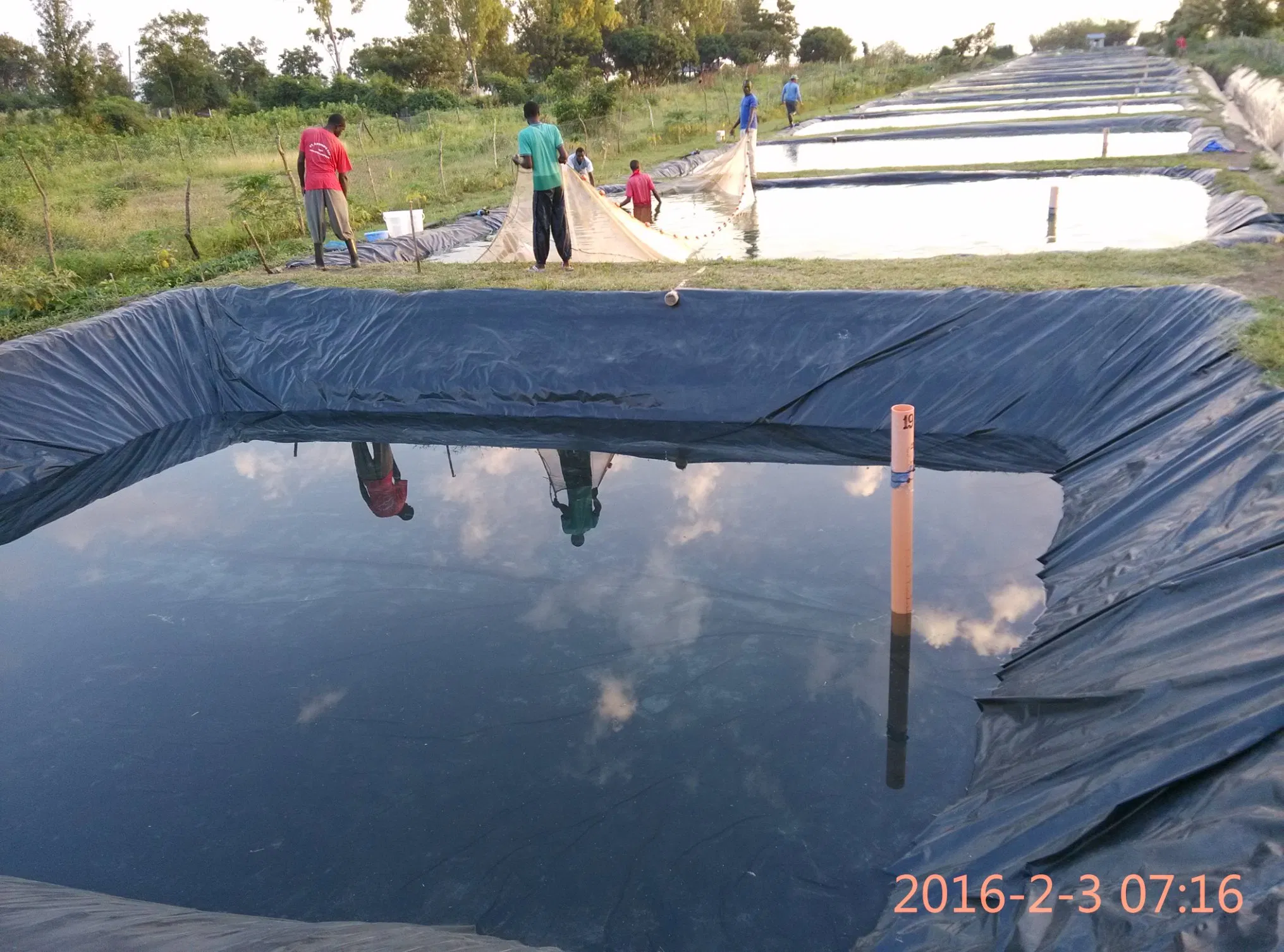 HDPE Geomembrane, Waterproofing Geomembrane for Fish Farm