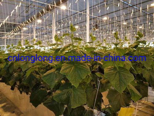 Hot Sales Greenhouse Rattan Hook with Different Material to Meet Your Price Points