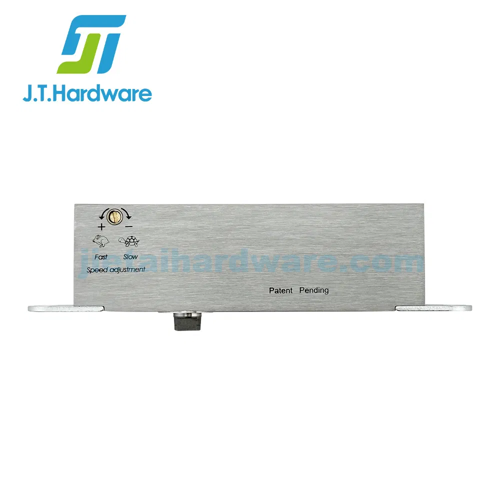 Concealed Wooden Door Hardware Adjustable Center Bottom Pivot for Factory Price