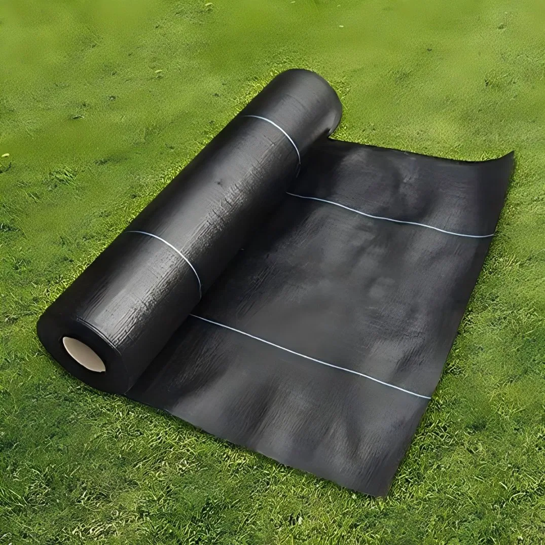 PP/PE Black or Green Agricultural Landscape Anti Grass Ground Cover Weed Mat