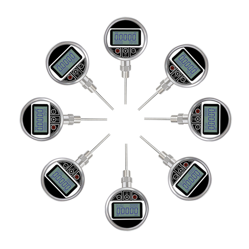 China Manufacturer Water LCD Display Stainless Steel Digital Themometer Temperature Gauge