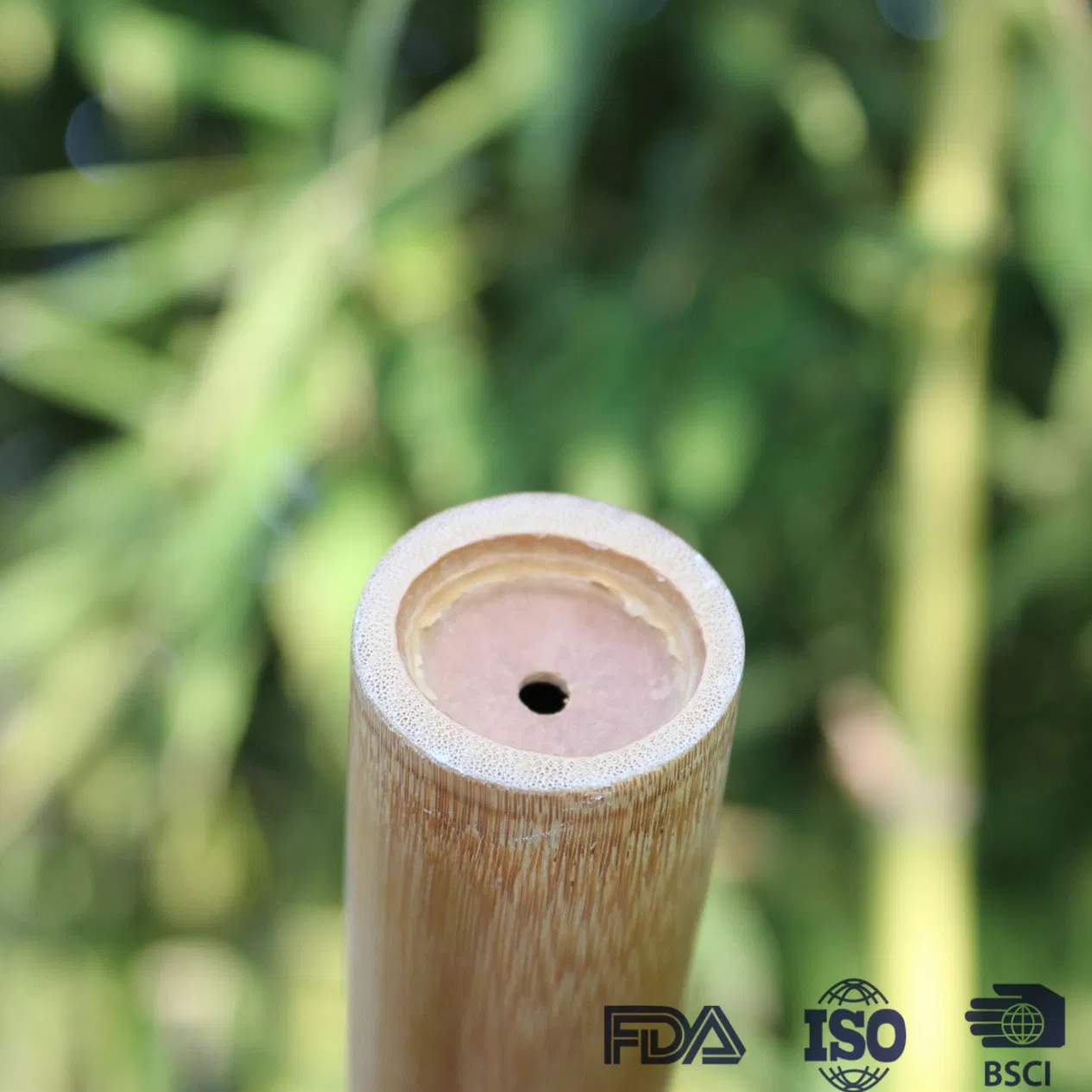 environmental Bamboo Toothbrush Travel Holder