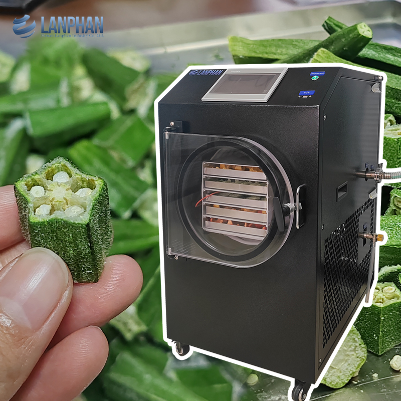 Home Use Food Fruit Vegetable Candy Liofilizador Lyophilizer Machine
