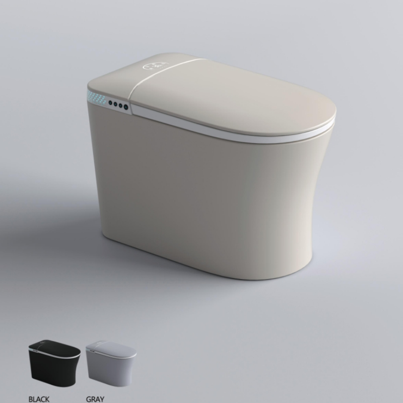 Simple and Popular Fashionable Ceramic Remote Control Intelligent Toilet