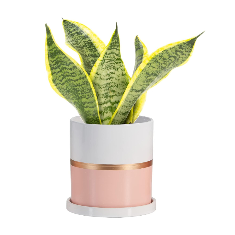 6 Inch Plant Pot Ceramic Flower Planters Indoor Modern Succulents Containers with Drain Hole