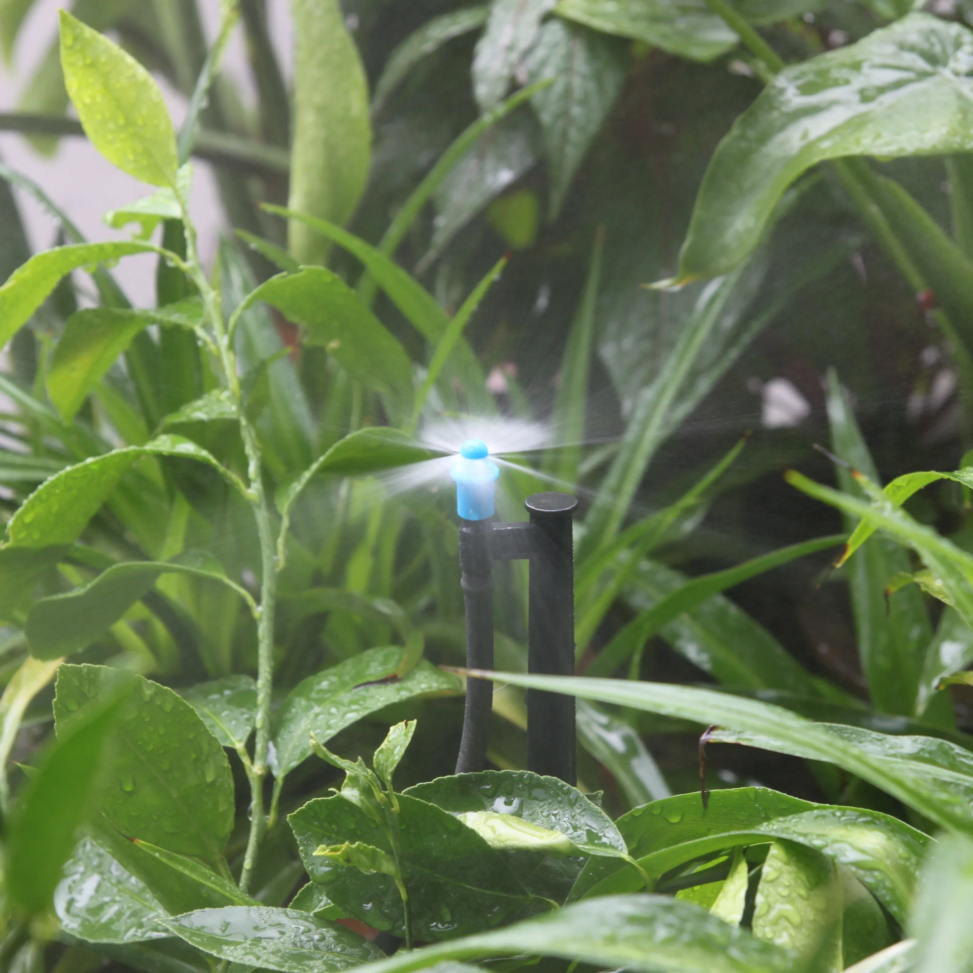 Micro Irrigation Plastic Sprinkler Simple Export Design for Agriculture