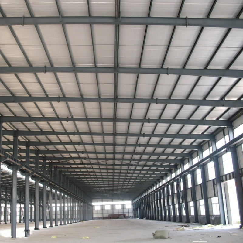 Prefabicated Steel Structure Shed Farm House Metal Building with High Quality