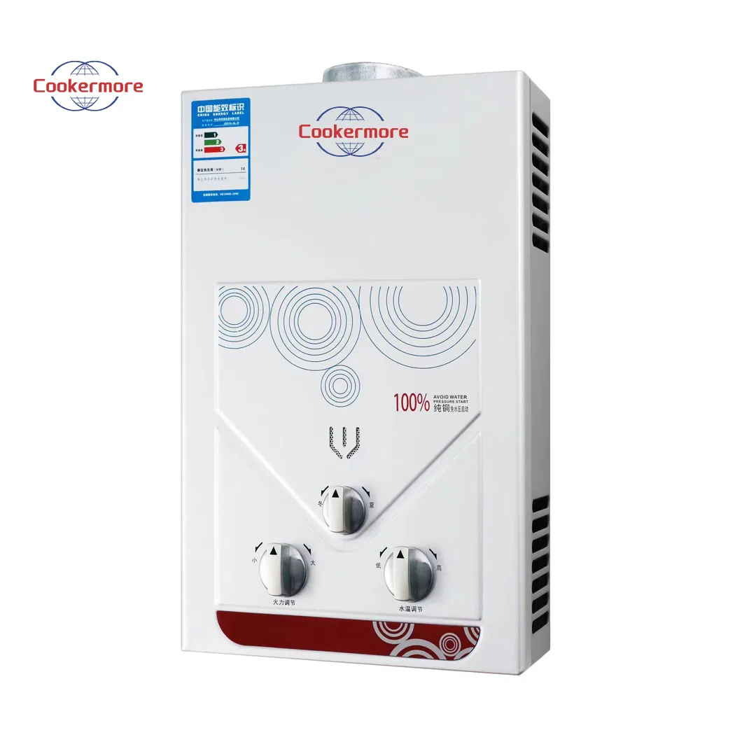 High Quality Shower 6L Storage Car Hobun Hot Sale Shower Wall Mounted Radiator Hot Calentador De Agua Gas Water Heater