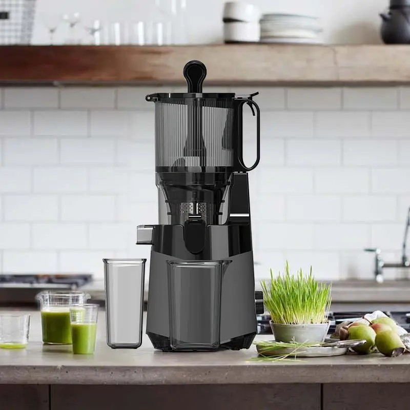 Hot Popular 100% Full Test Multifunctional Parts Slow Juicer Supplier in China
