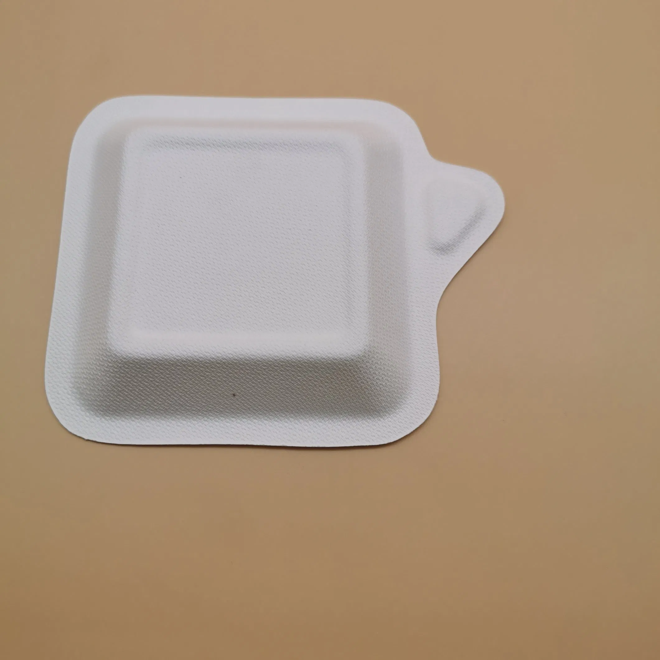Wholesale Biodegradable Cake Plates Sugarcane Bagasse Dessert Dish Disposable Baby Tray