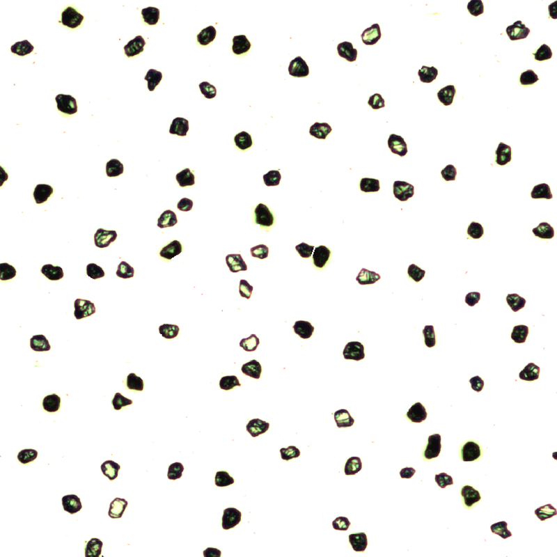 Polishing Synthetic Diamond Powder with High Quality for Industrial Use