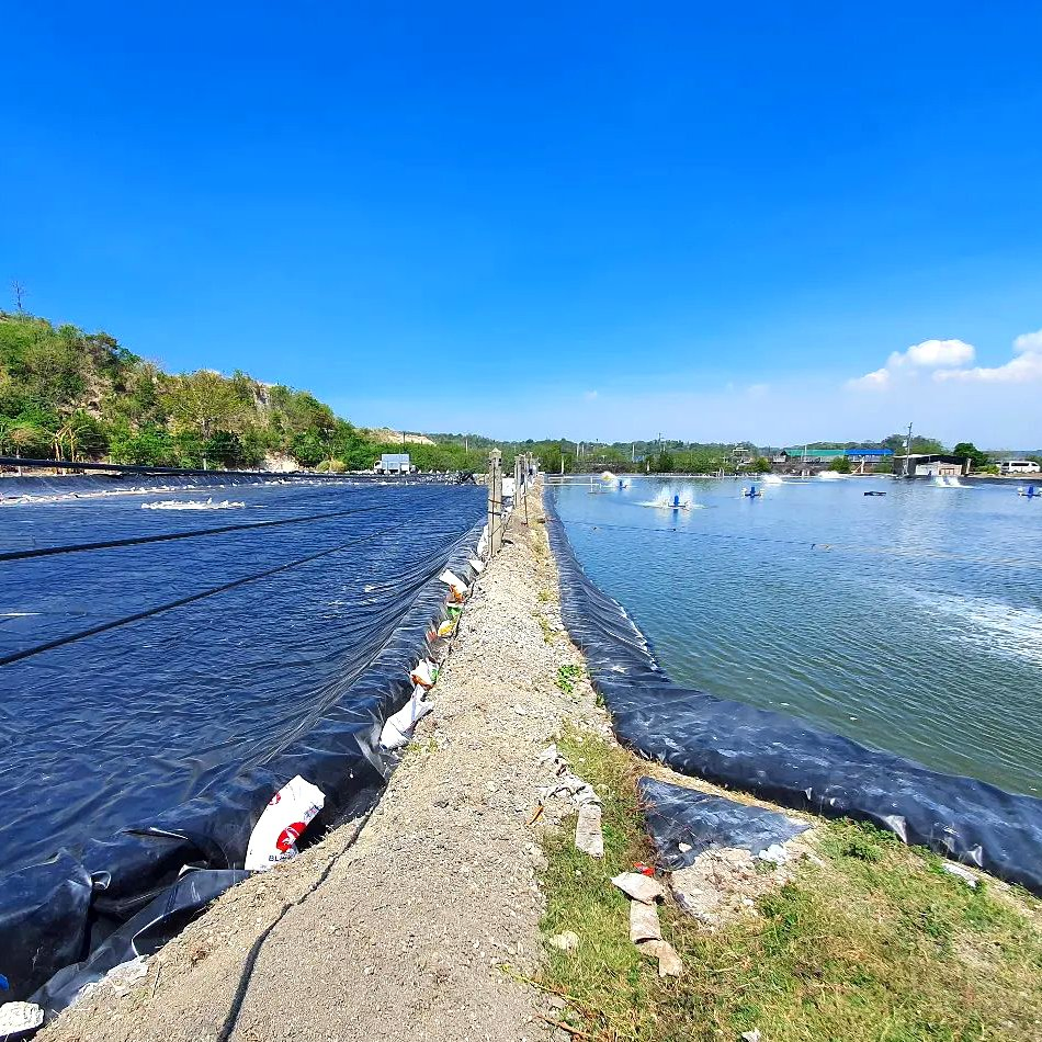 0.5mm/1mm/1.5mm/2mm Durable Unfading Anti-Aging HDPE Geomembrane Waste Water Treatment Garbage Covered Field