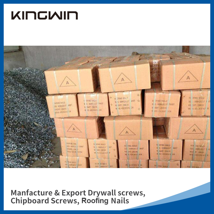 2.5"*9bwg Galvanized Umbrella Head Roofing Nails for Nigeria Market with Smooth Shank