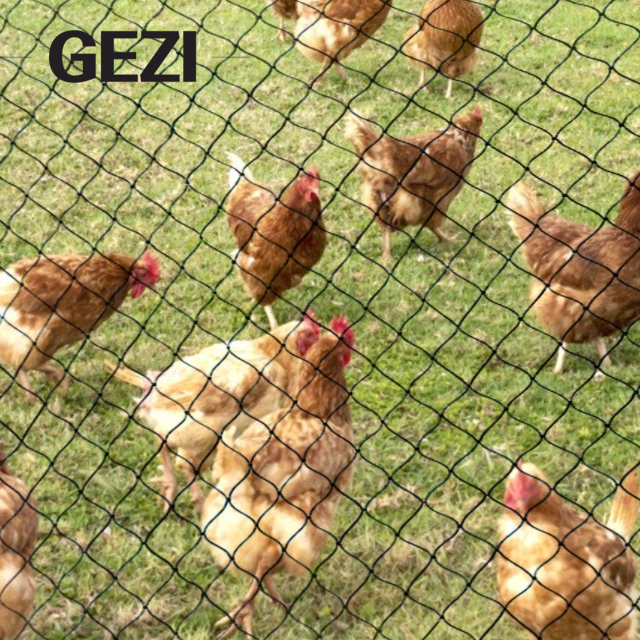 Plastic Bird Garden Netting Barrier Anti-Bird Net for Against Birds Other Animals