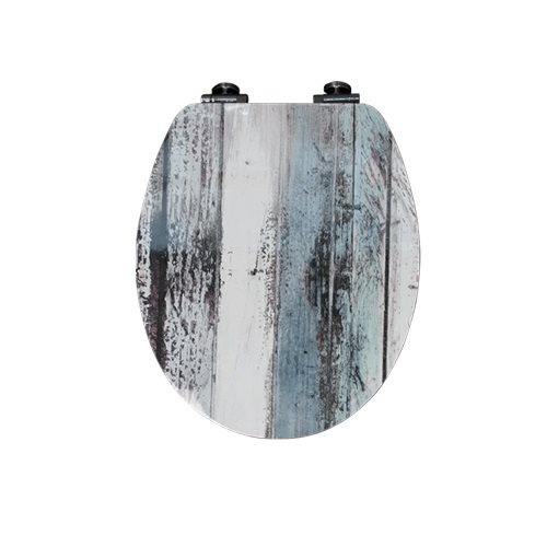 Hot Sales Image Printed Color MDF Adult Soft Toilet Seats