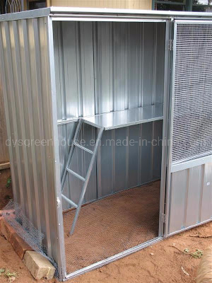 Poultry House Steel Structure Chicken House (DSF6X4-C1)