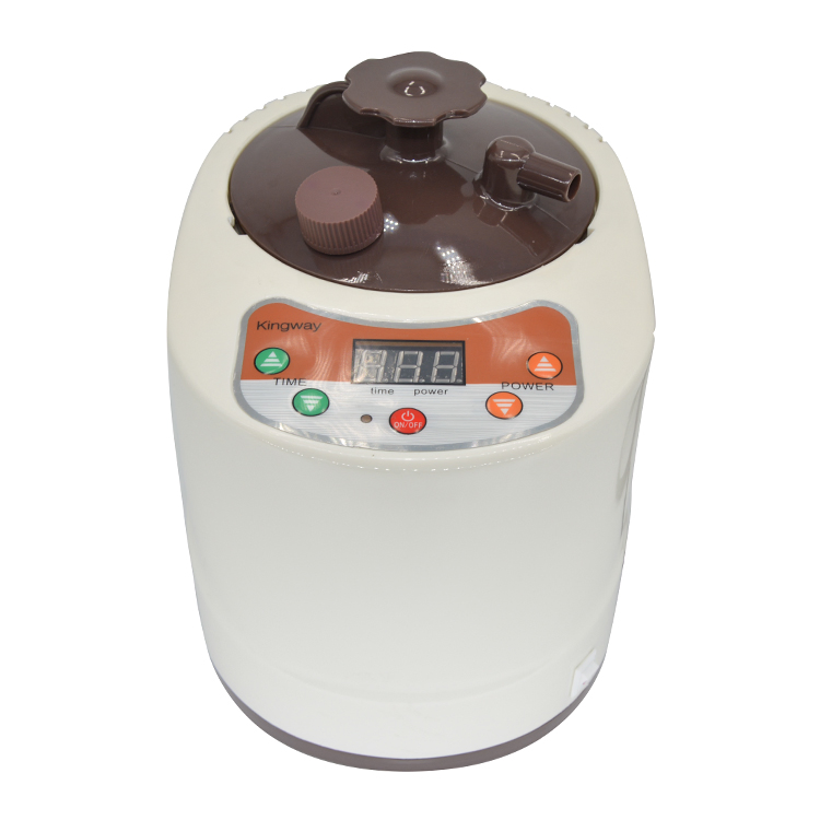 Портативный парогенератор Kingway 4L для сауны