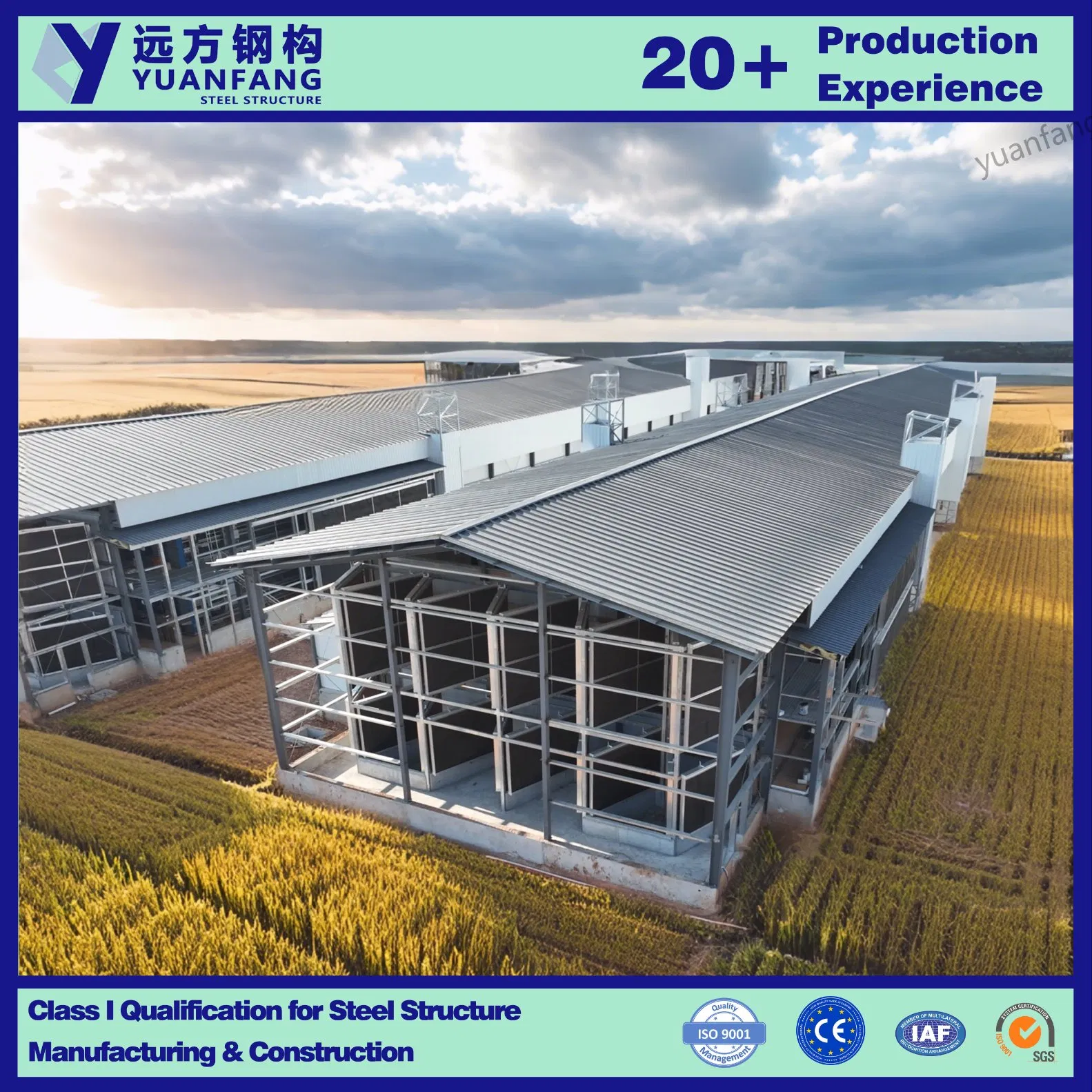 Modular & Prefabricated Steel Structure Building of Steel Structure Chicken House / Warehouse for Factory