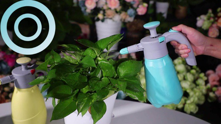 Wholesale Hand Pressure Garden Nozzle Trigger Sprayer High Quality Plastic Watering Can