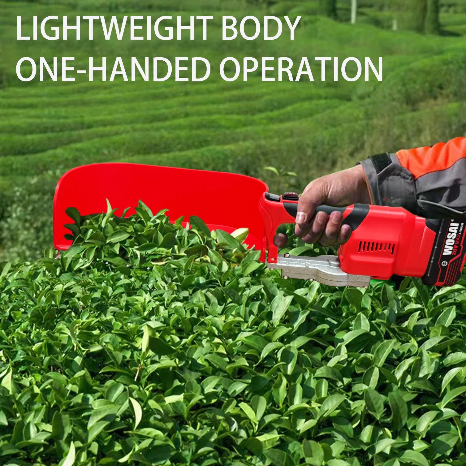 20volt Brushless Li-ion Tea Picking Machine Tea Harvester