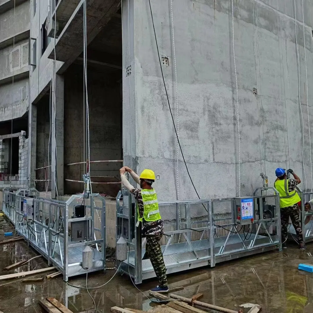 Factory Direct Popular Suspended Platform Zlp630 with CE Certificate