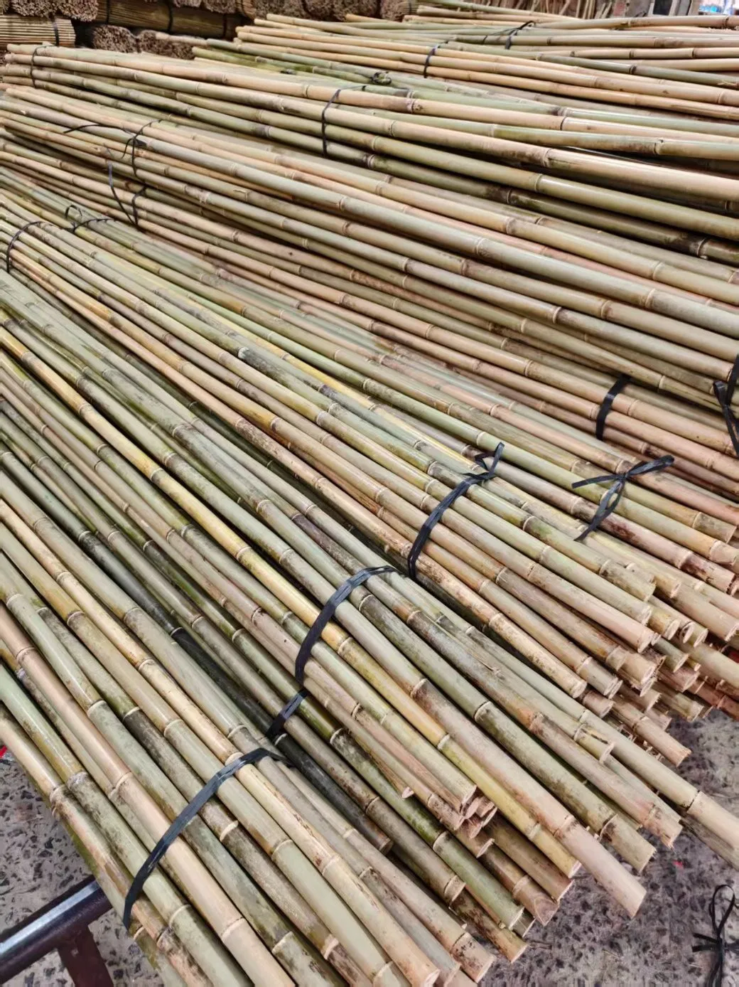 High Quality Nature Bamboo Cane Stake Dia. 22-24mm X 240cm for Plants Grow and Decorative