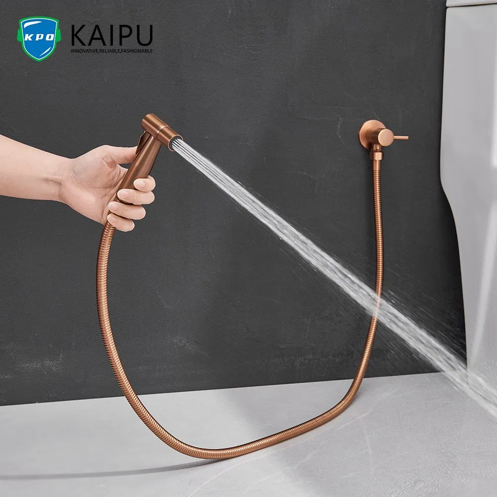 Bidet Set Spray Gun Healthy Faucet