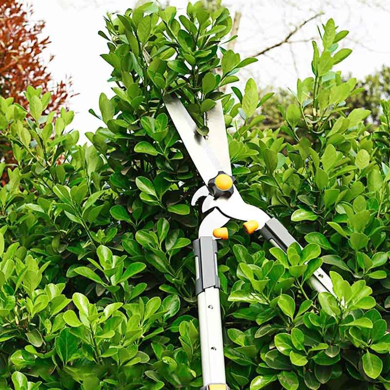 Профессиональные секаторы с длинной ручкой для сада